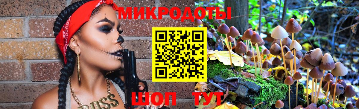 Галлюциногенные грибы мухоморы Новосибирск
